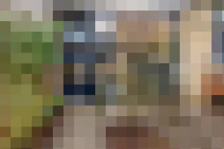 Brahmsstraat 170 Capelle aan den IJssel thumbnail 41