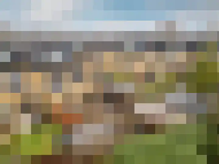 Brahmsstraat 170 Capelle aan den IJssel thumbnail 42