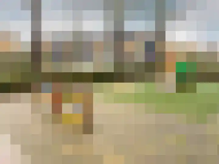 Brahmsstraat 170 Capelle aan den IJssel thumbnail 44
