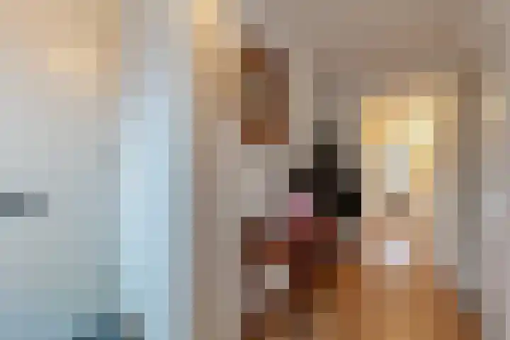 Brahmsstraat 170 Capelle aan den IJssel thumbnail 8