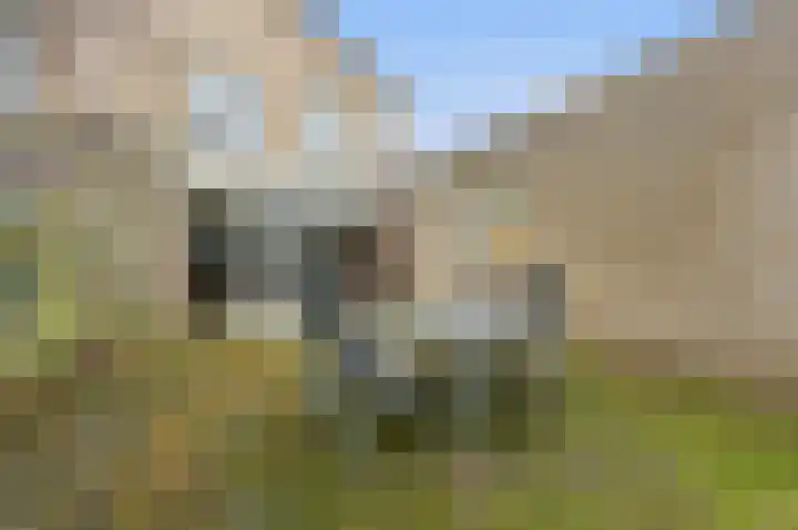 Brahmsstraat 18 Barendrecht thumbnail 38