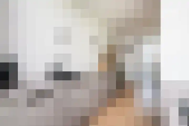 Brahmsstraat 18 Ridderkerk thumbnail 18