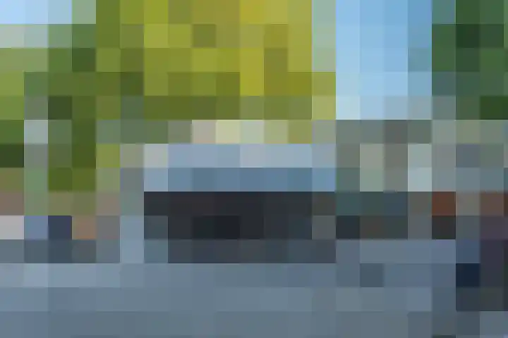 Brahmsstraat 18 Ridderkerk thumbnail 38