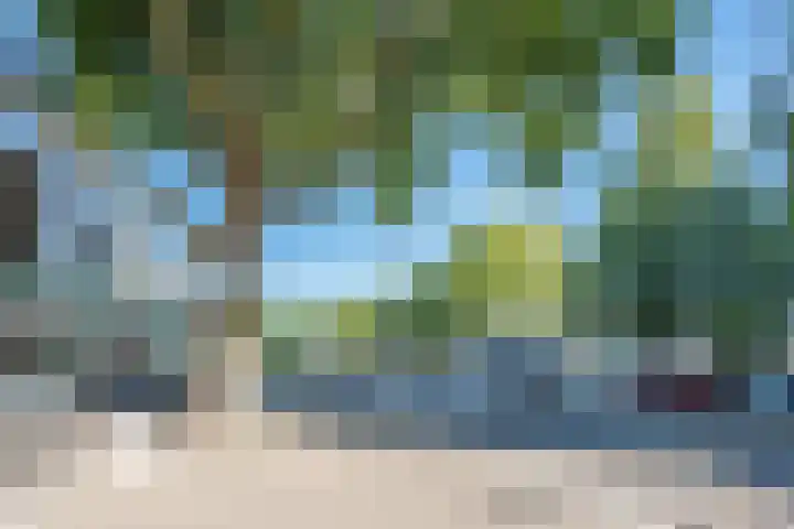 Brahmsstraat 18 Ridderkerk thumbnail 39