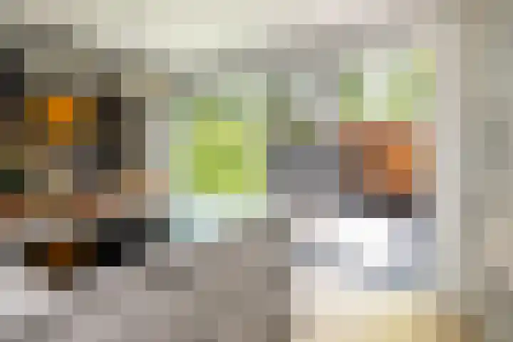 Brahmsstraat 18 Ridderkerk thumbnail 9