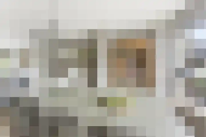 Brahmsstraat 19 Ridderkerk thumbnail 10