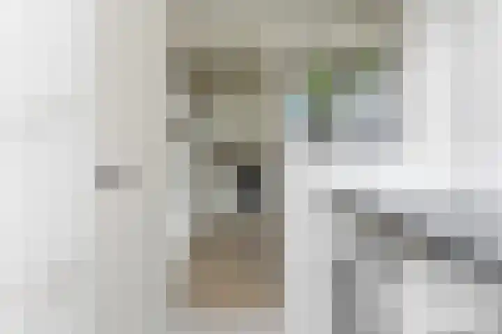 Brahmsstraat 19 Ridderkerk thumbnail 16