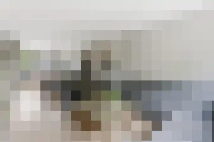 Brahmsstraat 19 Ridderkerk thumbnail 4