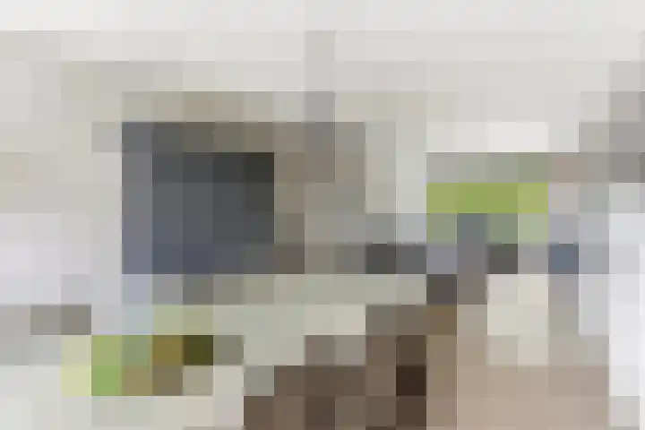 Brahmsstraat 19 Ridderkerk thumbnail 6