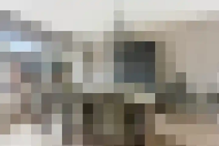 Brahmsstraat 19 Ridderkerk thumbnail 8