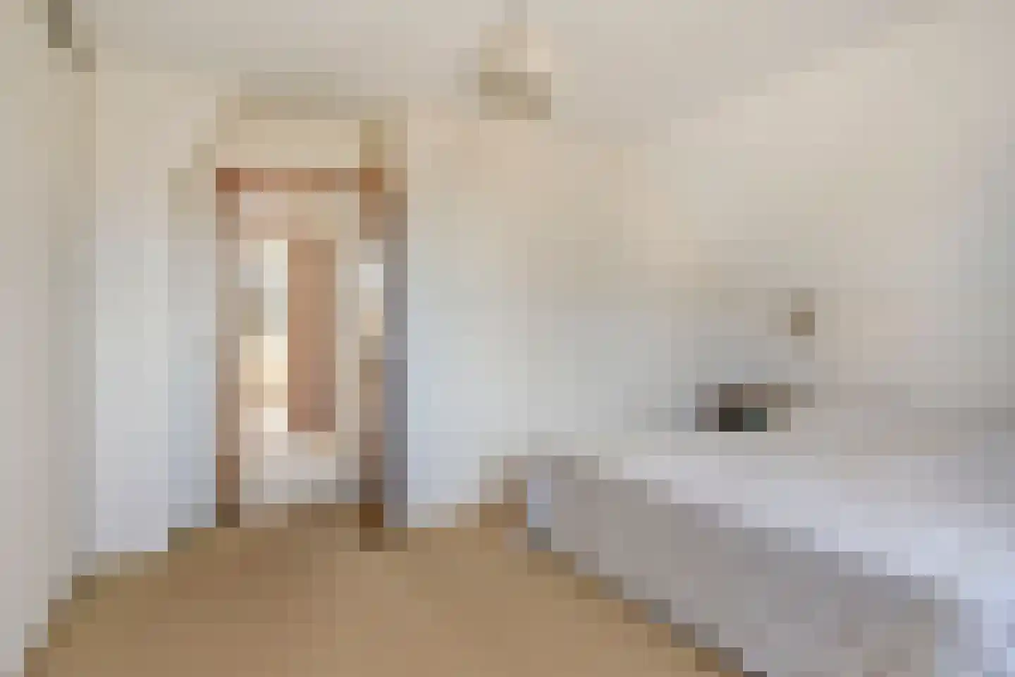 Brahmsstraat 2 Veenendaal thumbnail 17