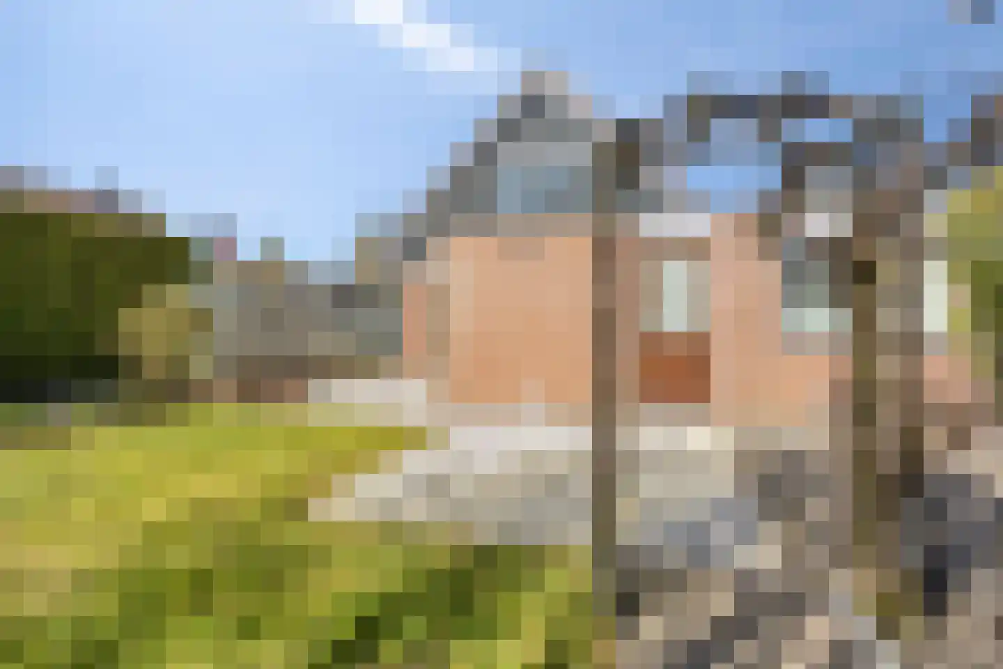 Brahmsstraat 2 Veenendaal thumbnail 24
