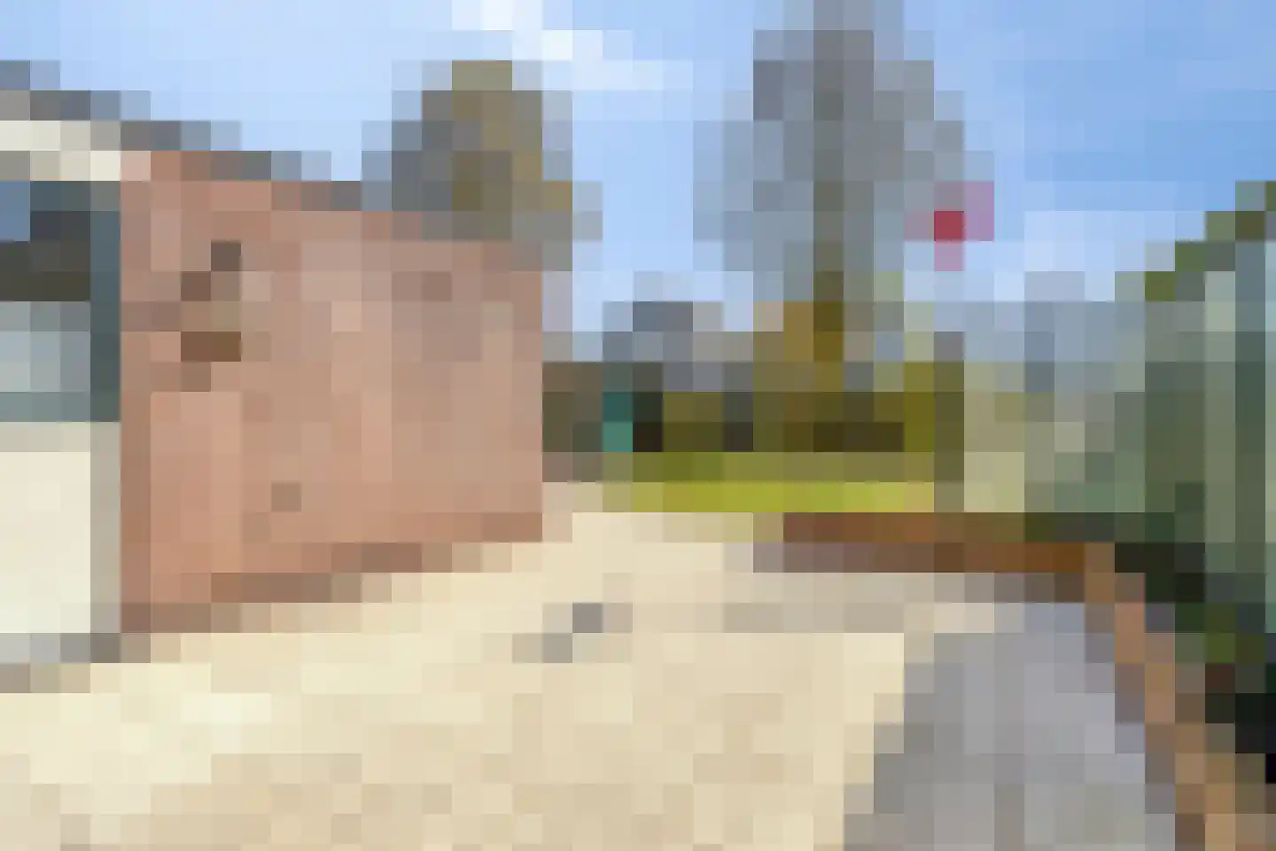Brahmsstraat 2 Veenendaal thumbnail 25