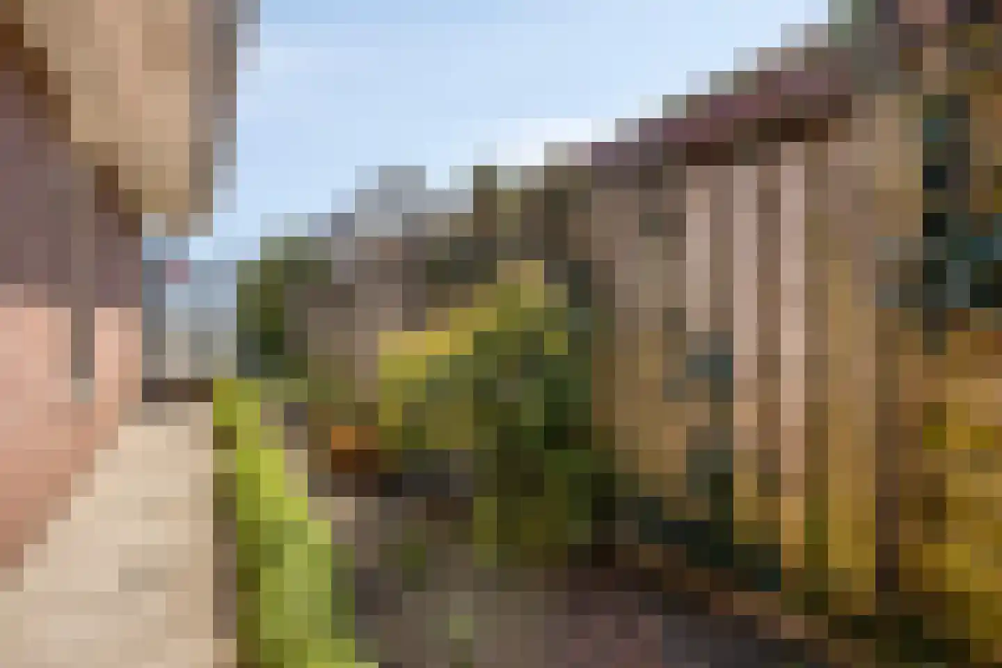 Brahmsstraat 2 Veenendaal thumbnail 28