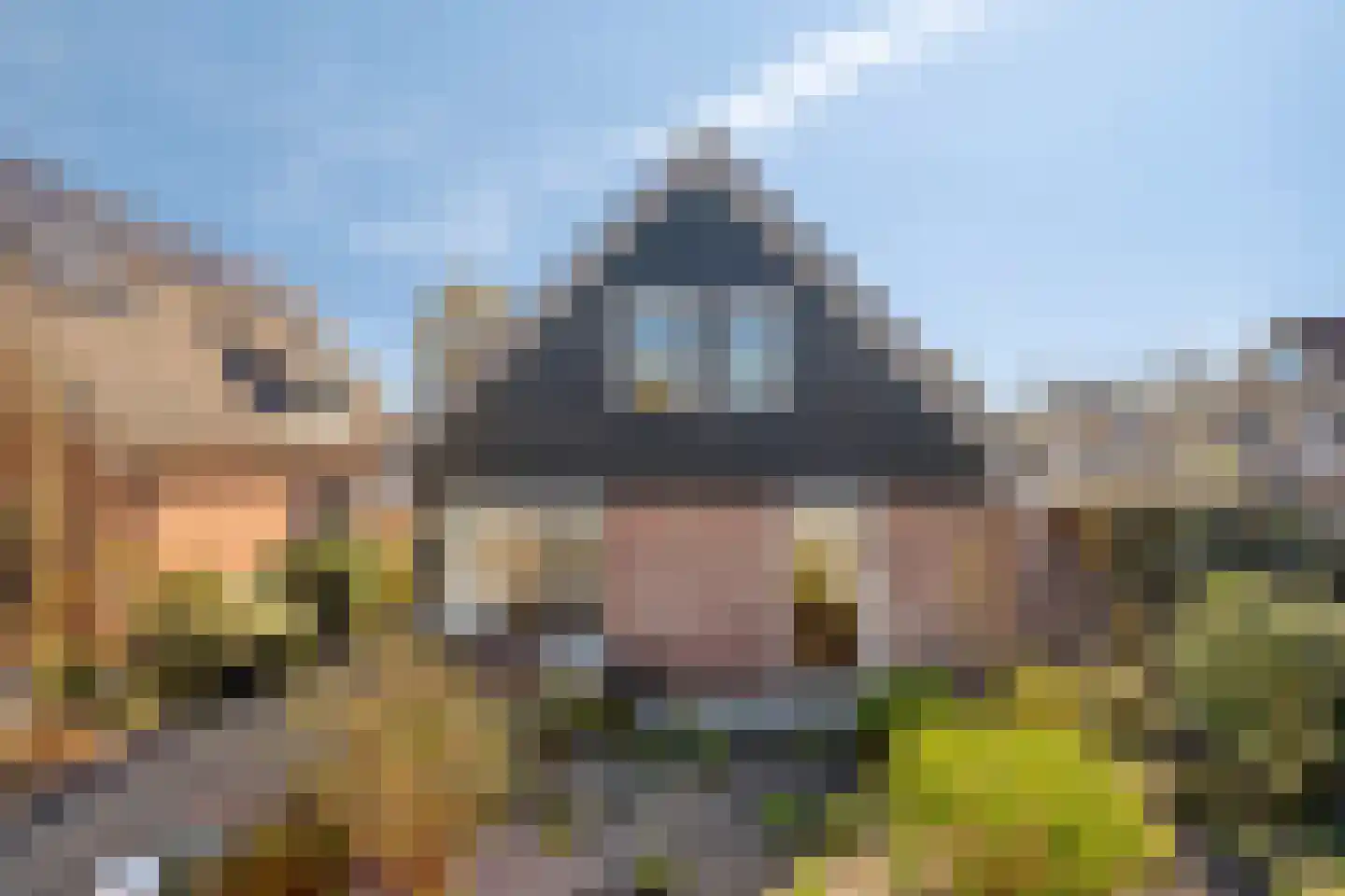 Brahmsstraat 2 Veenendaal thumbnail 29