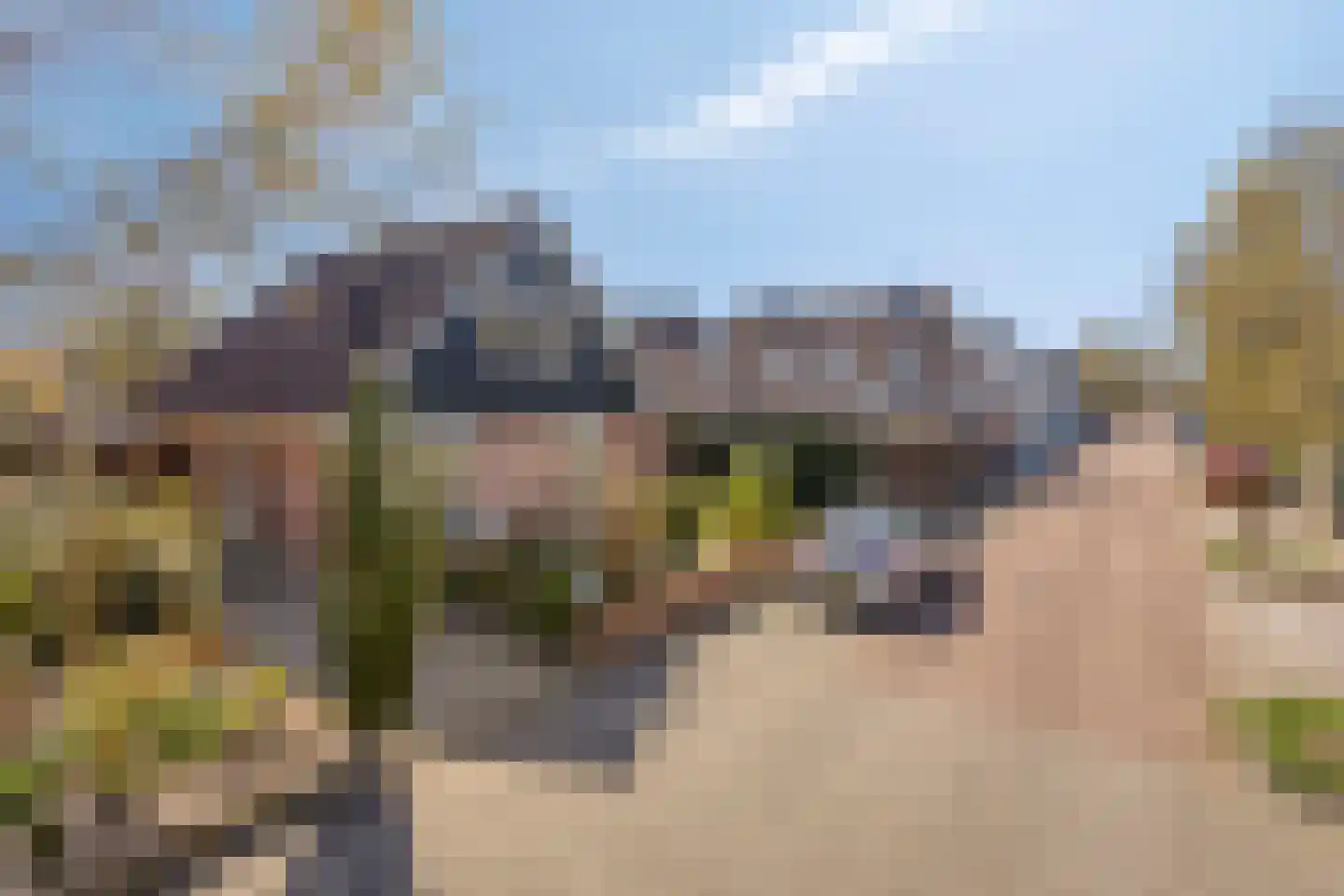 Brahmsstraat 2 Veenendaal thumbnail 30
