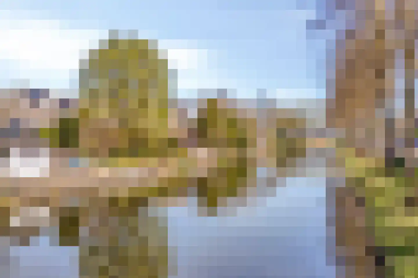 Brahmsstraat 2 Veenendaal thumbnail 34