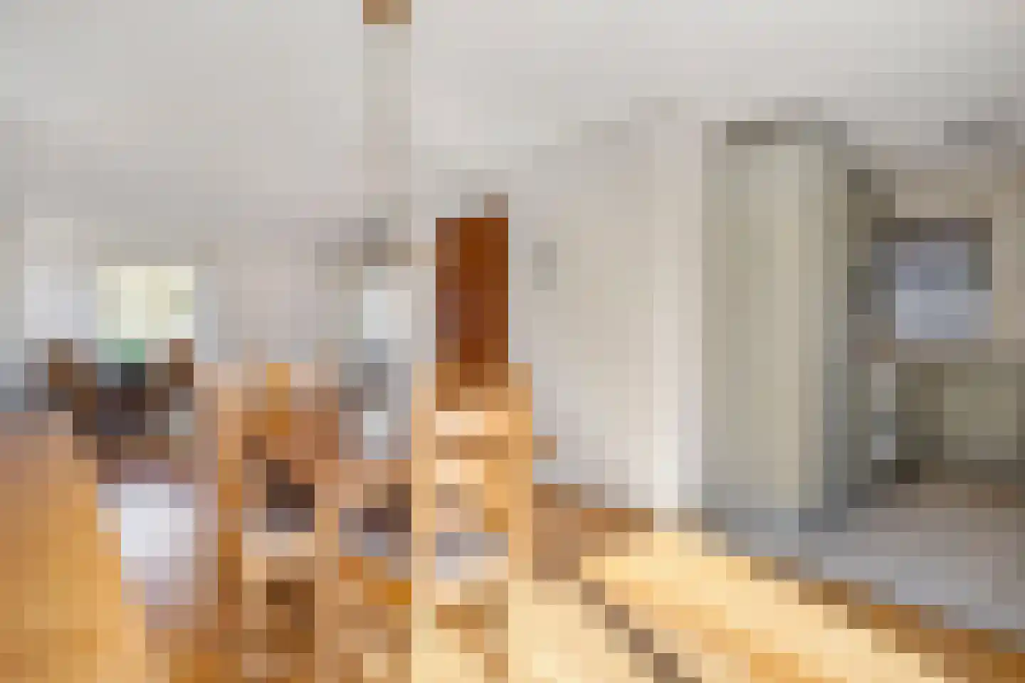 Brahmsstraat 2 Veenendaal thumbnail 8