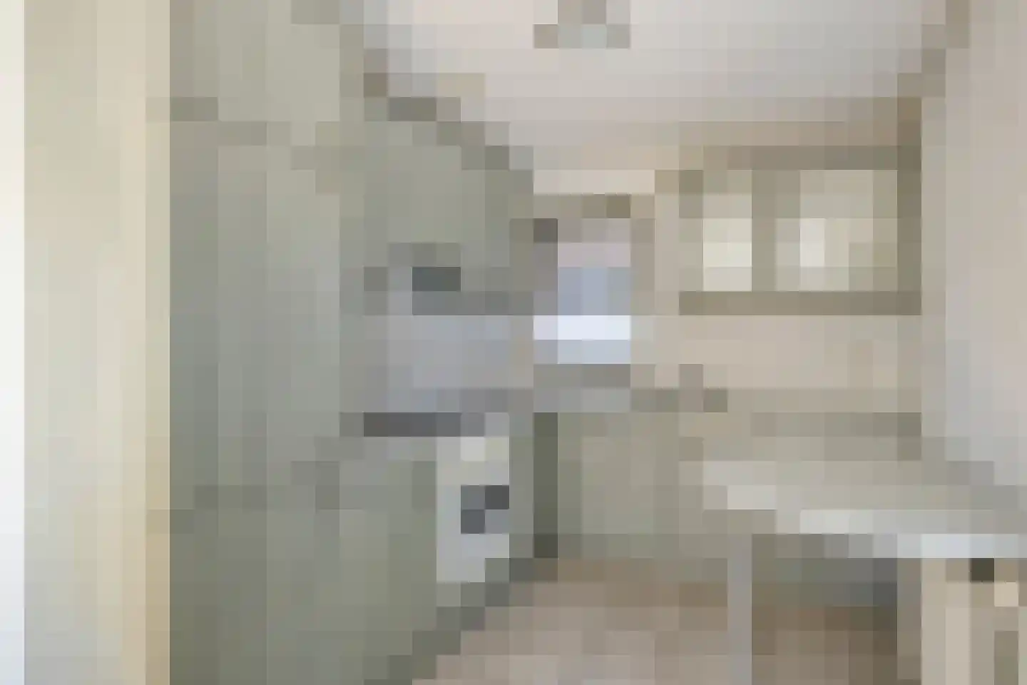 Brahmsstraat 2 Veenendaal thumbnail 9