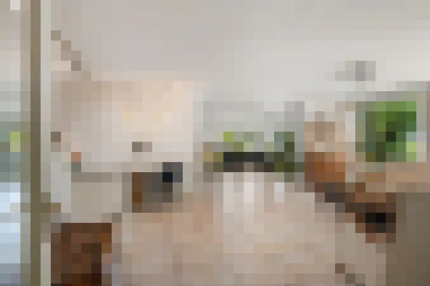Brahmsstraat 202 Capelle aan den IJssel thumbnail 11
