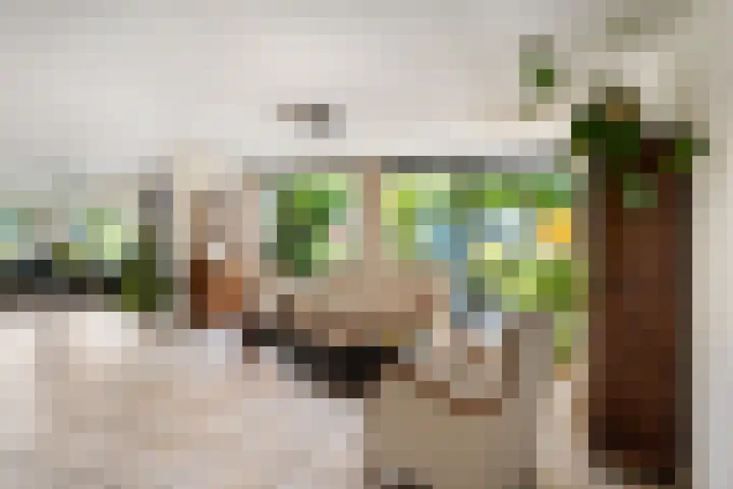 Brahmsstraat 202 Capelle aan den IJssel thumbnail 12