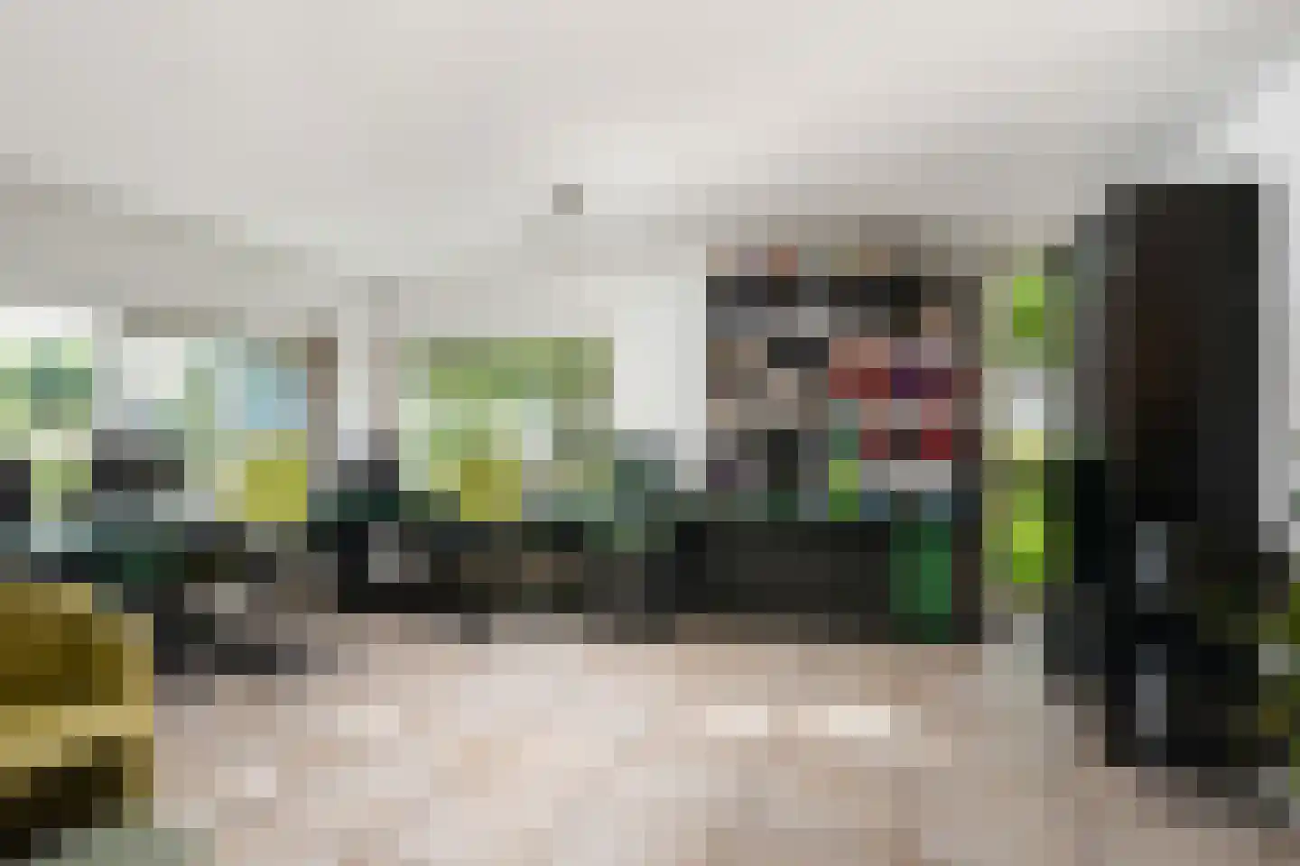 Brahmsstraat 202 Capelle aan den IJssel thumbnail 15