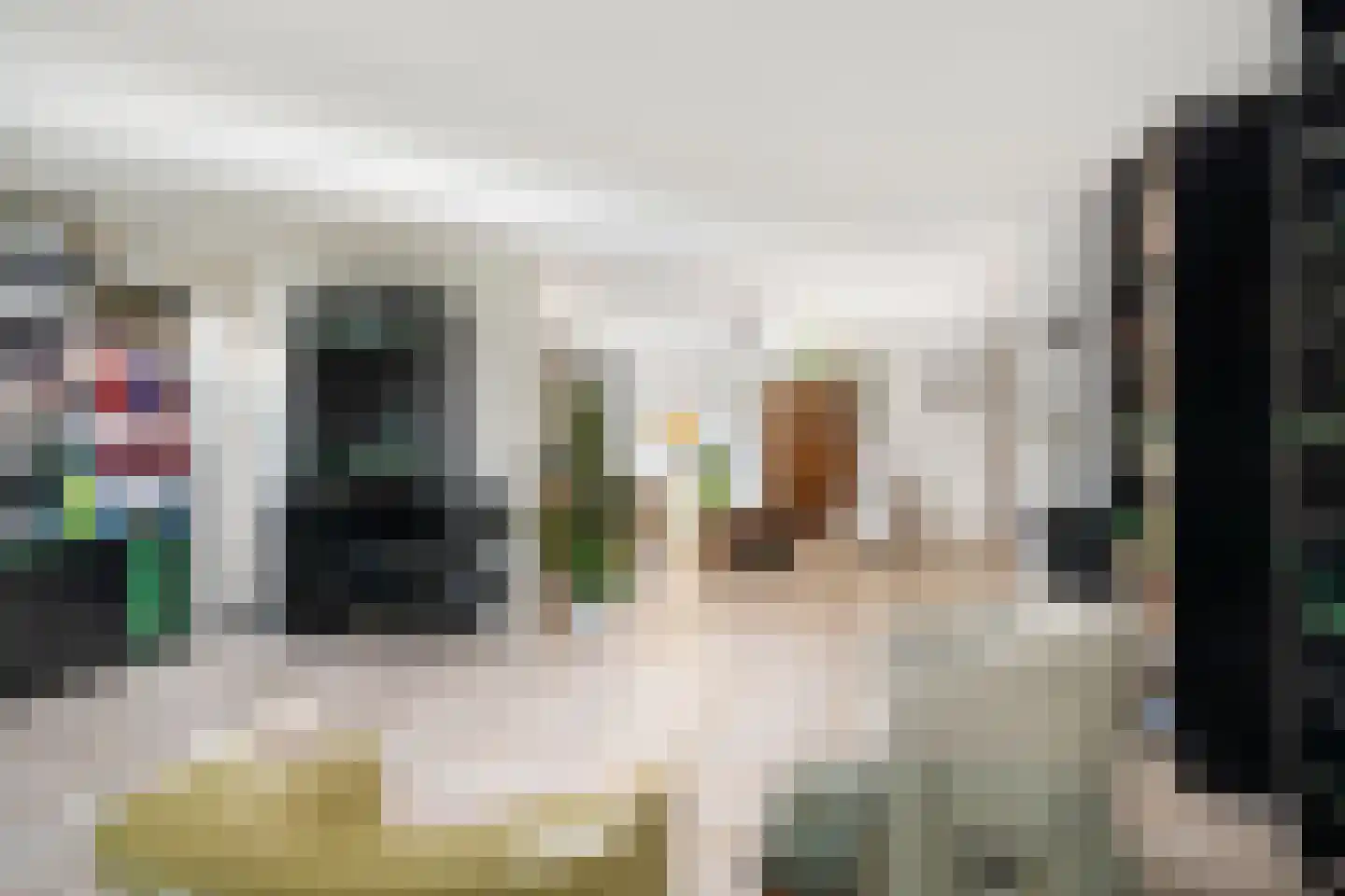 Brahmsstraat 202 Capelle aan den IJssel thumbnail 16