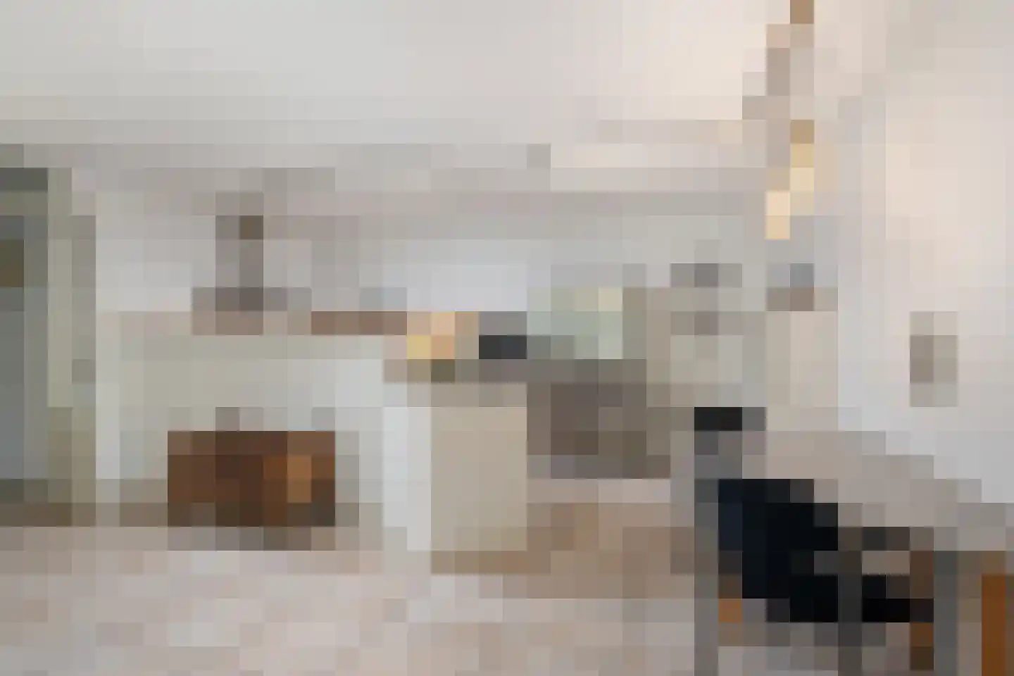 Brahmsstraat 202 Capelle aan den IJssel thumbnail 17