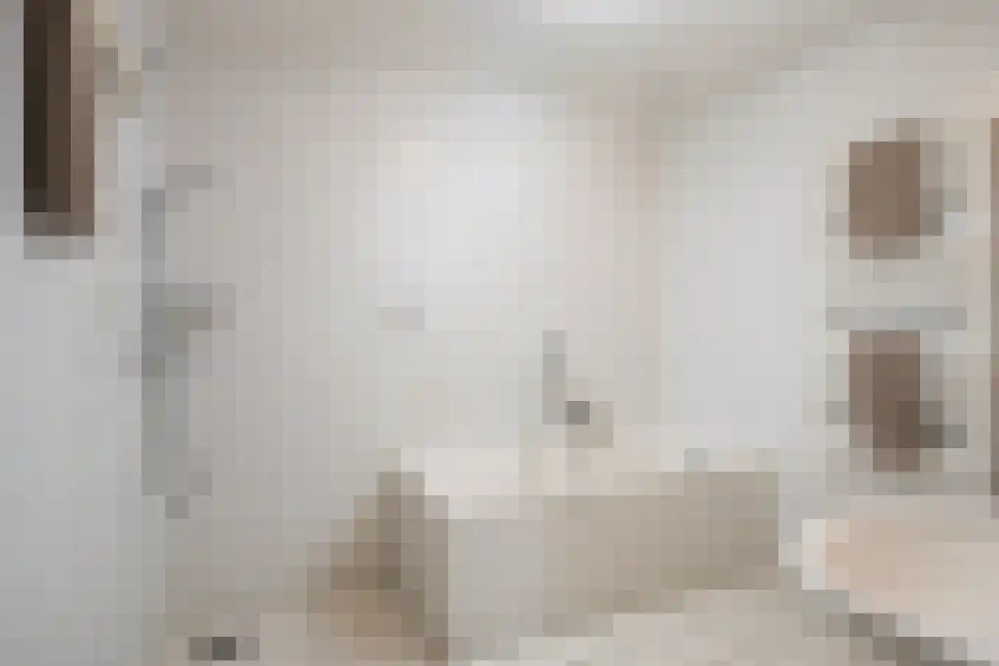 Brahmsstraat 202 Capelle aan den IJssel thumbnail 20