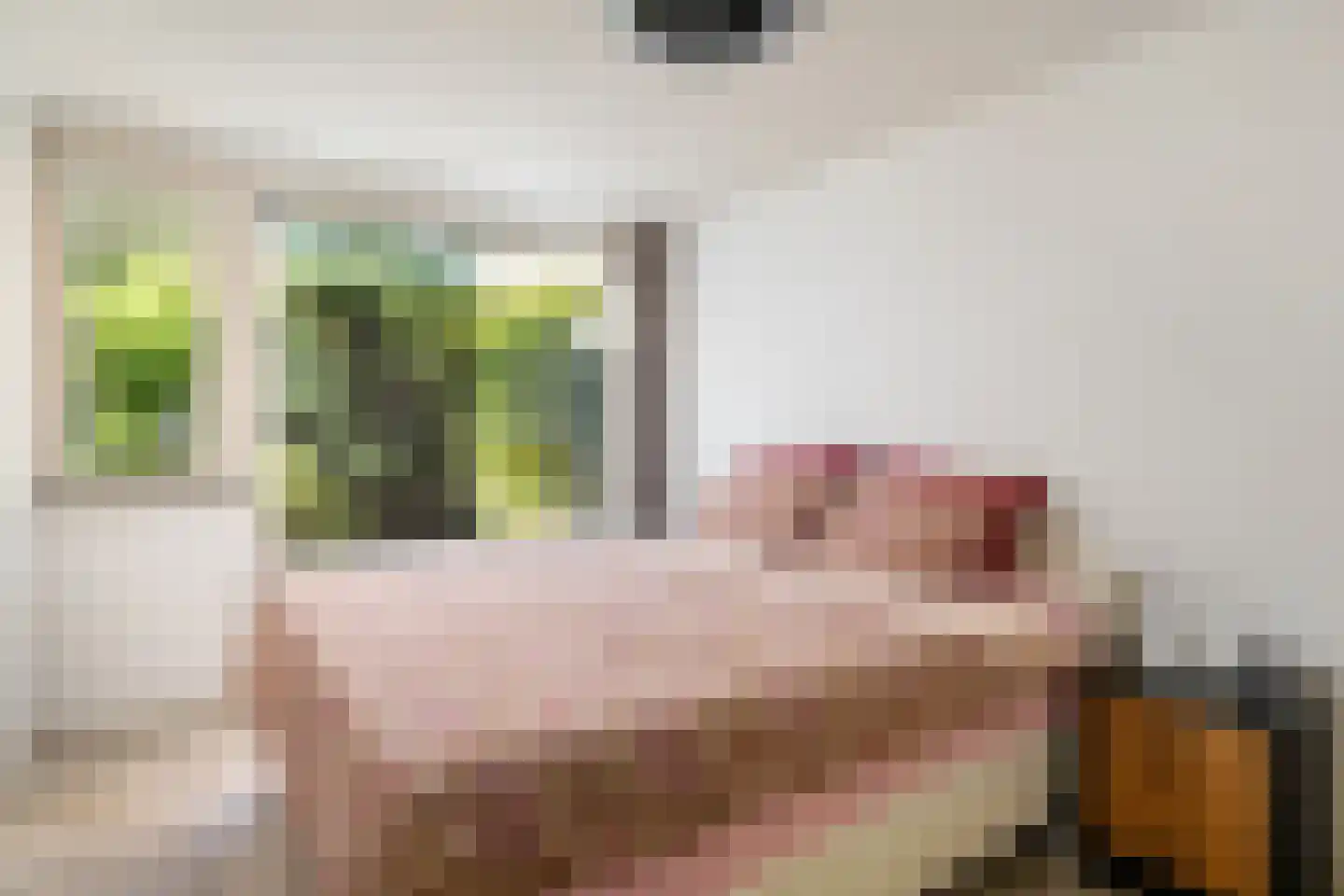 Brahmsstraat 202 Capelle aan den IJssel thumbnail 22