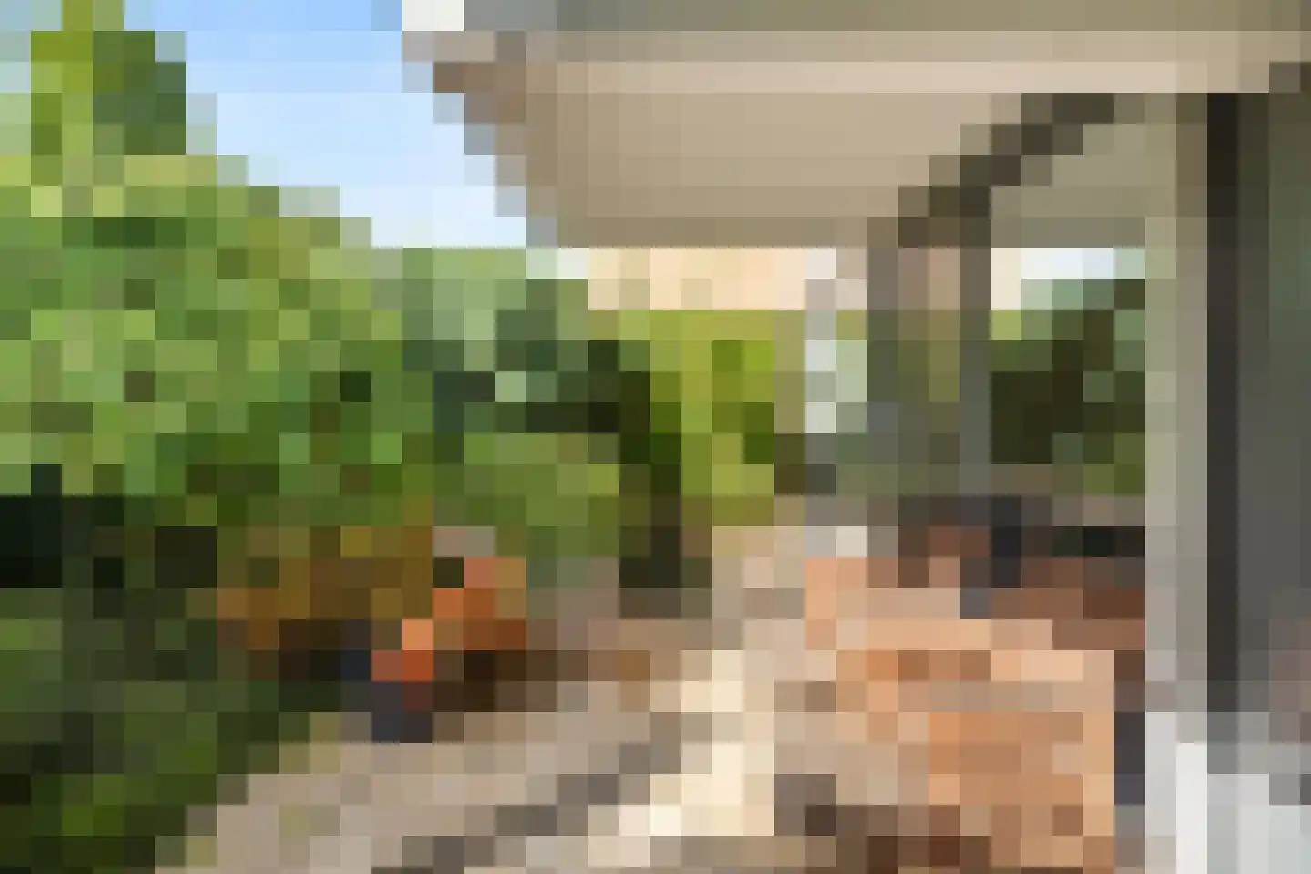 Brahmsstraat 202 Capelle aan den IJssel thumbnail 26