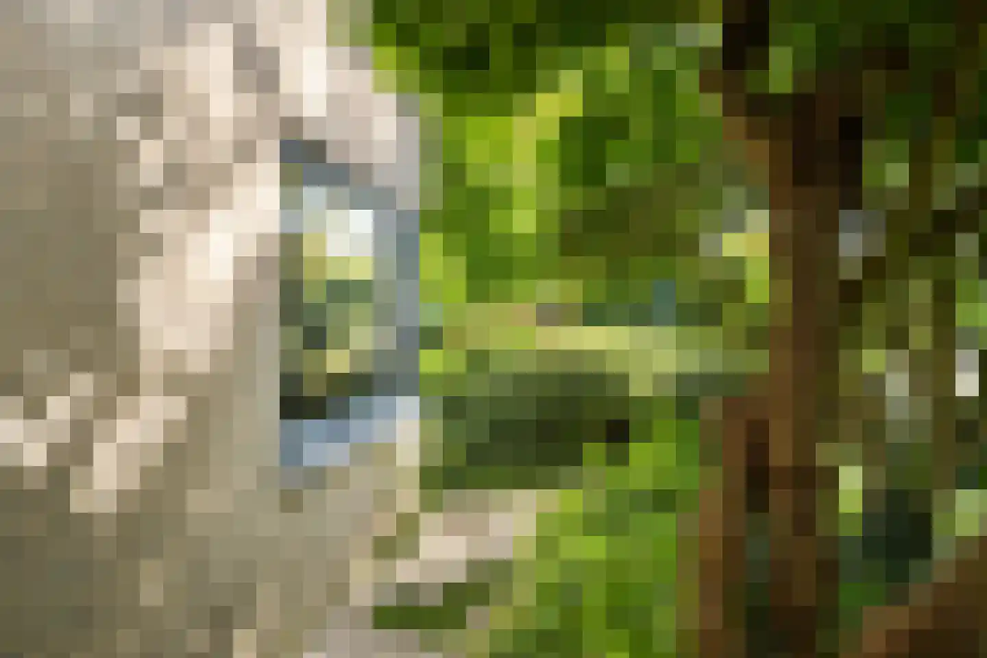 Brahmsstraat 202 Capelle aan den IJssel thumbnail 27