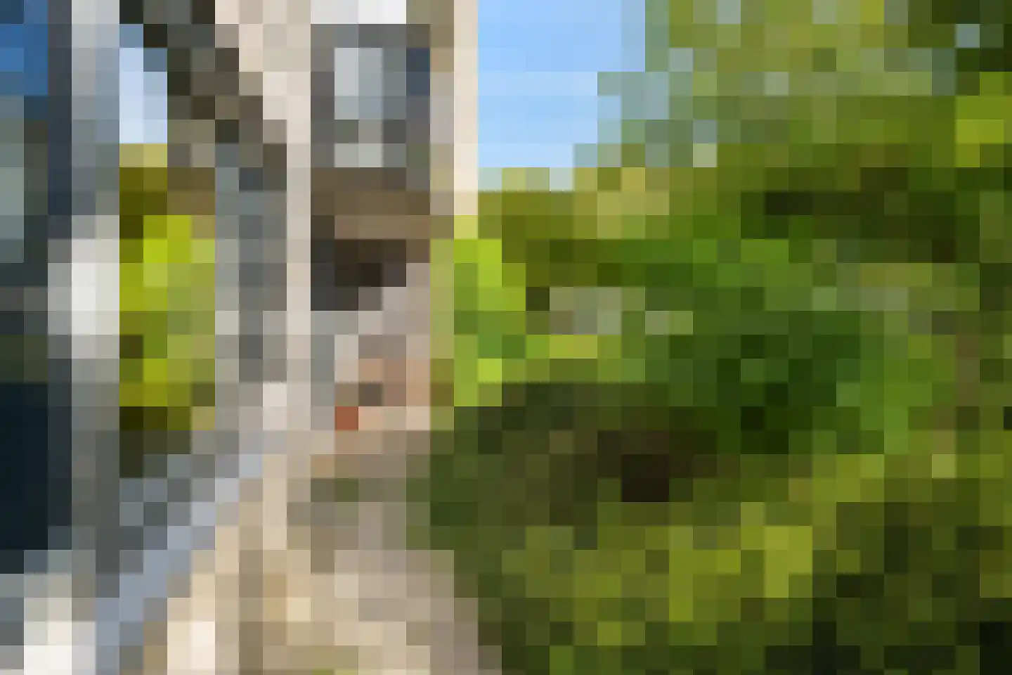 Brahmsstraat 202 Capelle aan den IJssel thumbnail 29