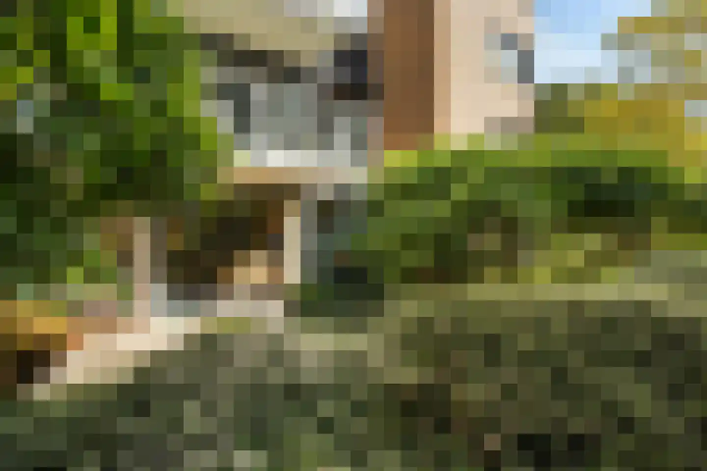 Brahmsstraat 202 Capelle aan den IJssel thumbnail 30