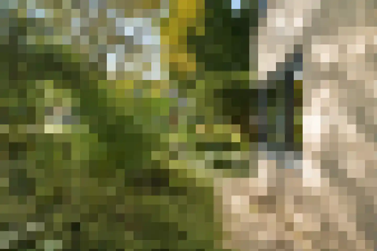 Brahmsstraat 202 Capelle aan den IJssel thumbnail 31