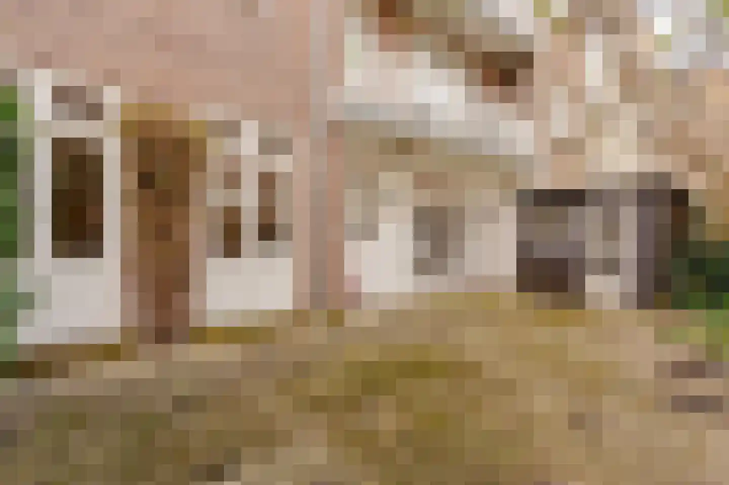 Brahmsstraat 22 Amsterdam thumbnail 13