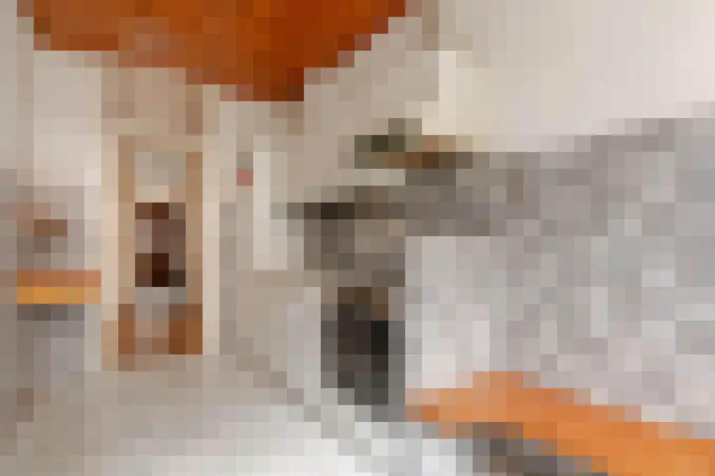 Brahmsstraat 22 Amsterdam thumbnail 15