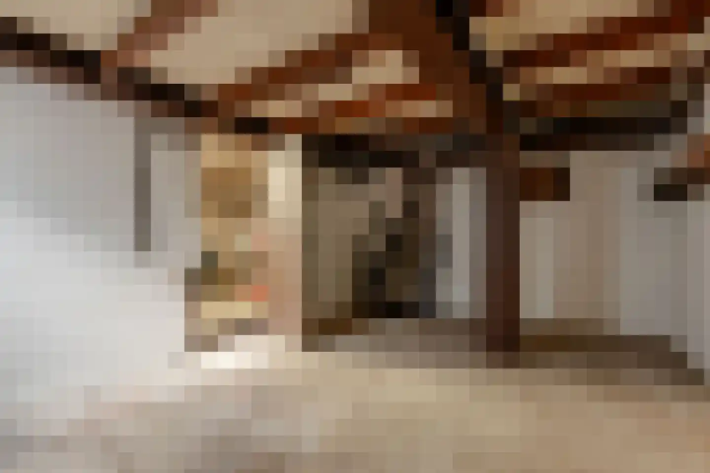 Brahmsstraat 22 Amsterdam thumbnail 27