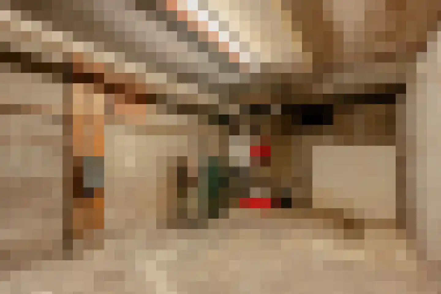 Brahmsstraat 22 Amsterdam thumbnail 28