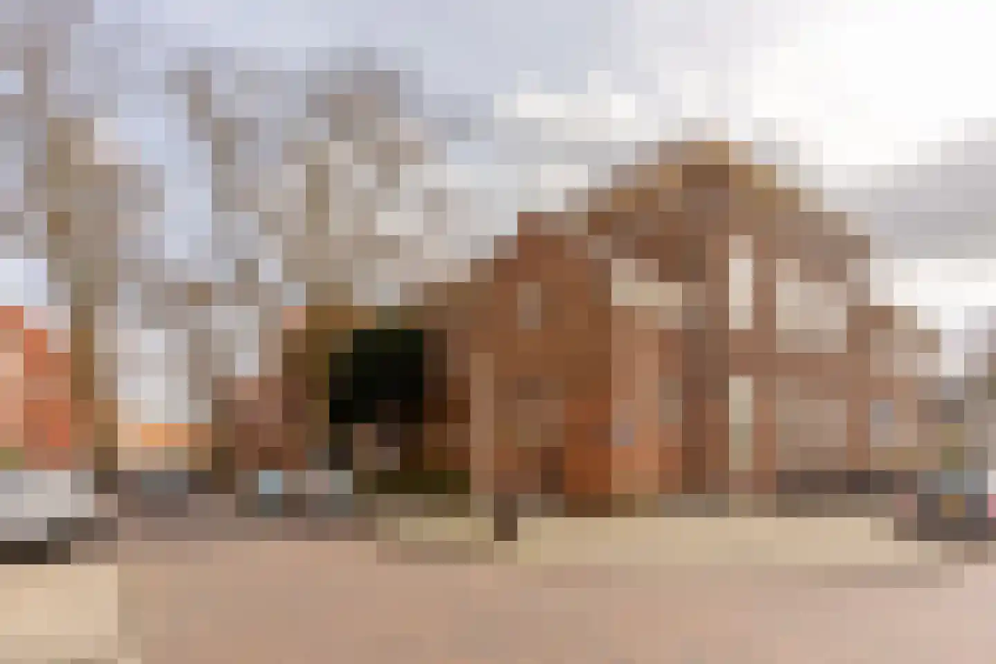 Brahmsstraat 22 Amsterdam thumbnail 32