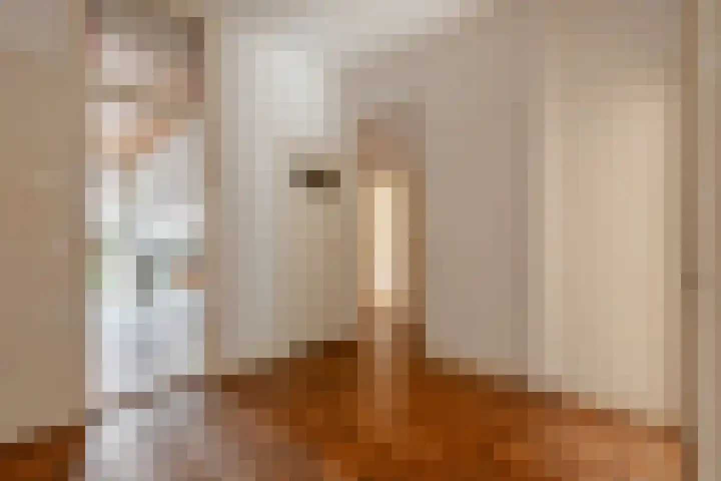 Brahmsstraat 22 Amsterdam thumbnail 4