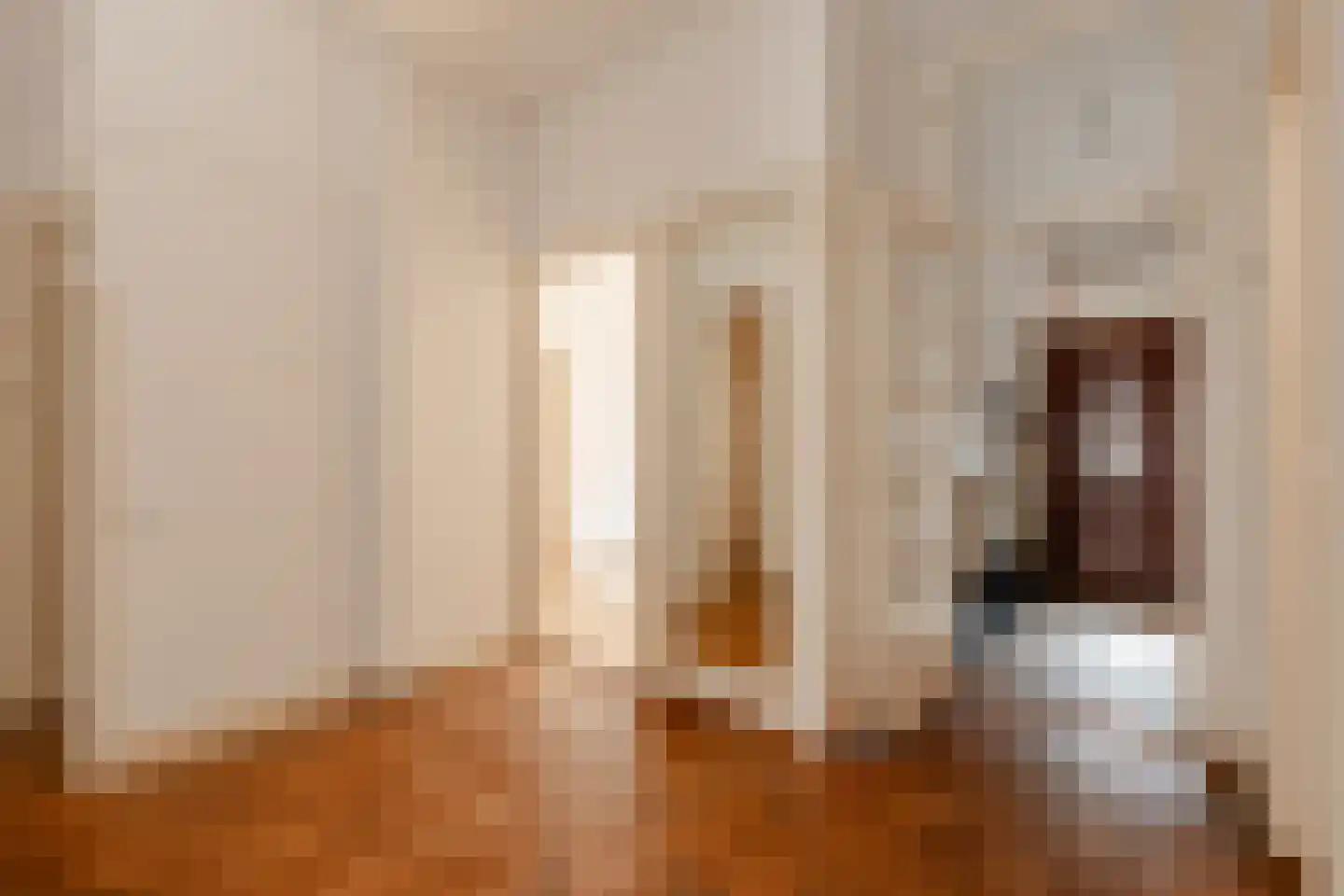 Brahmsstraat 22 Amsterdam thumbnail 5