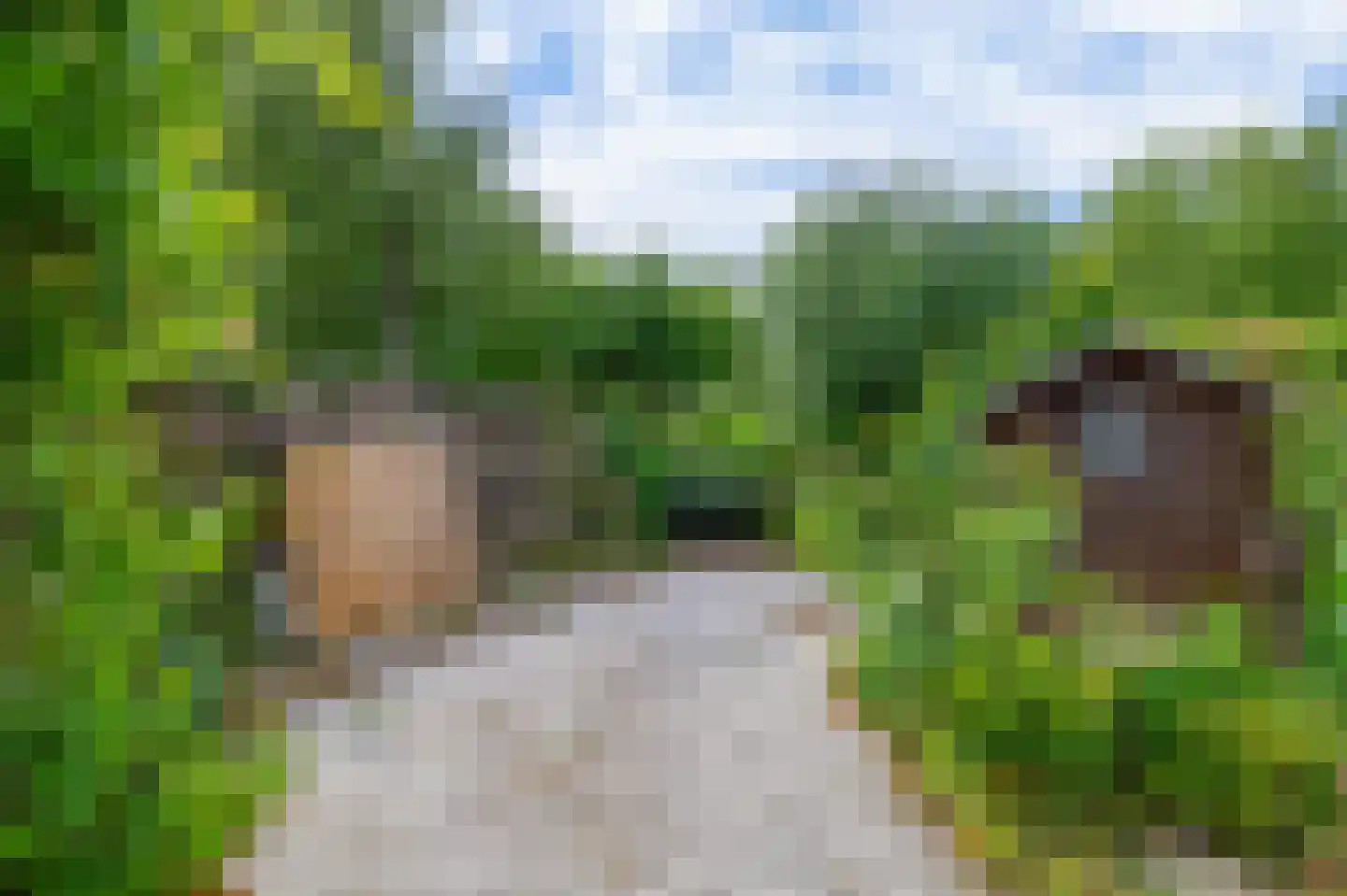 Brahmsstraat 22 Lisse thumbnail 16