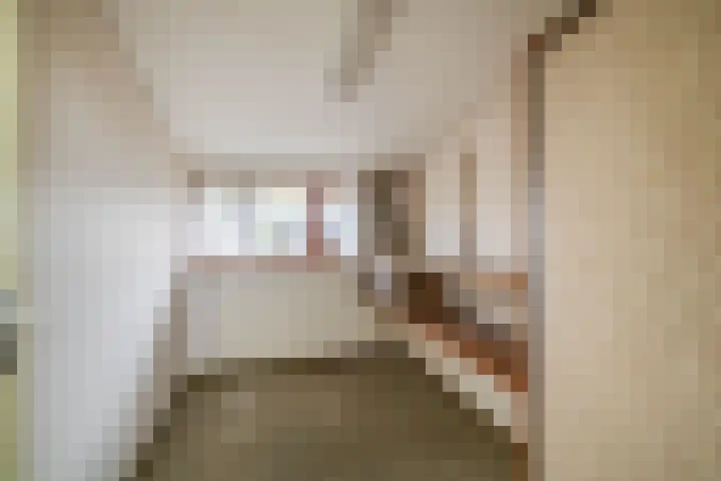 Brahmsstraat 22 Lisse thumbnail 28