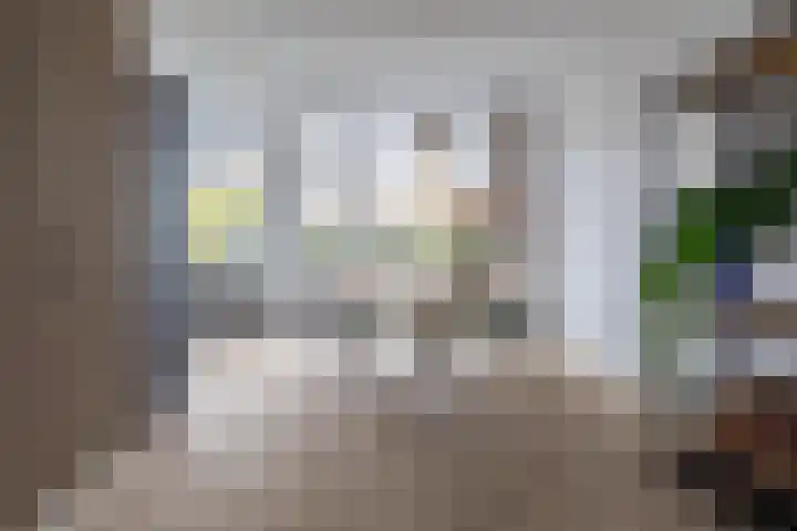 Brahmsstraat 23 Oosterhout thumbnail 14