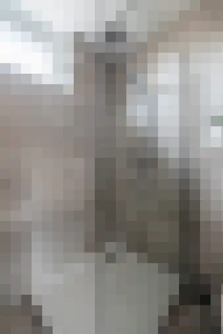 Brahmsstraat 23 Oosterhout thumbnail 38