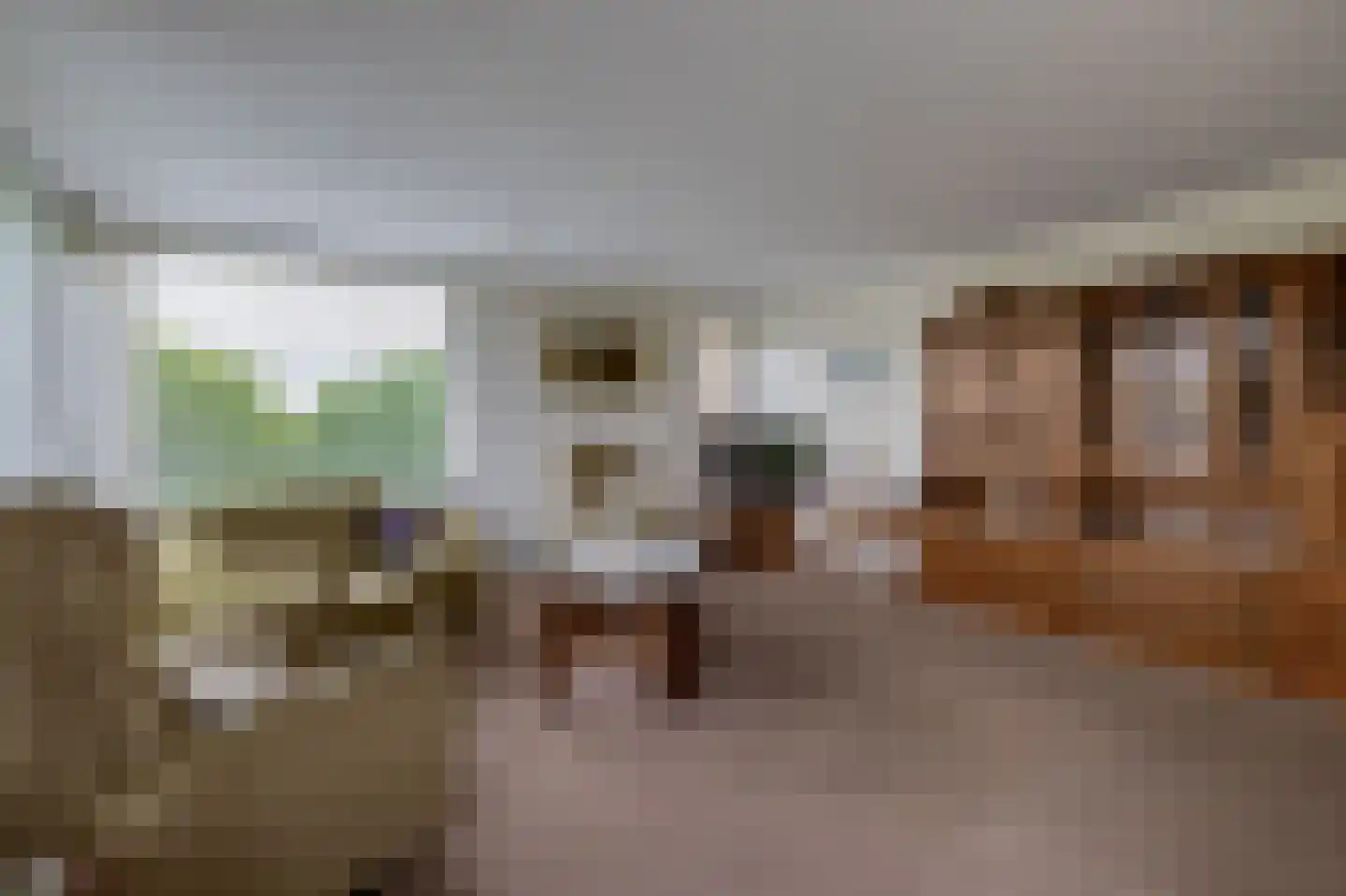 Brahmsstraat 240 Capelle aan den IJssel thumbnail 10