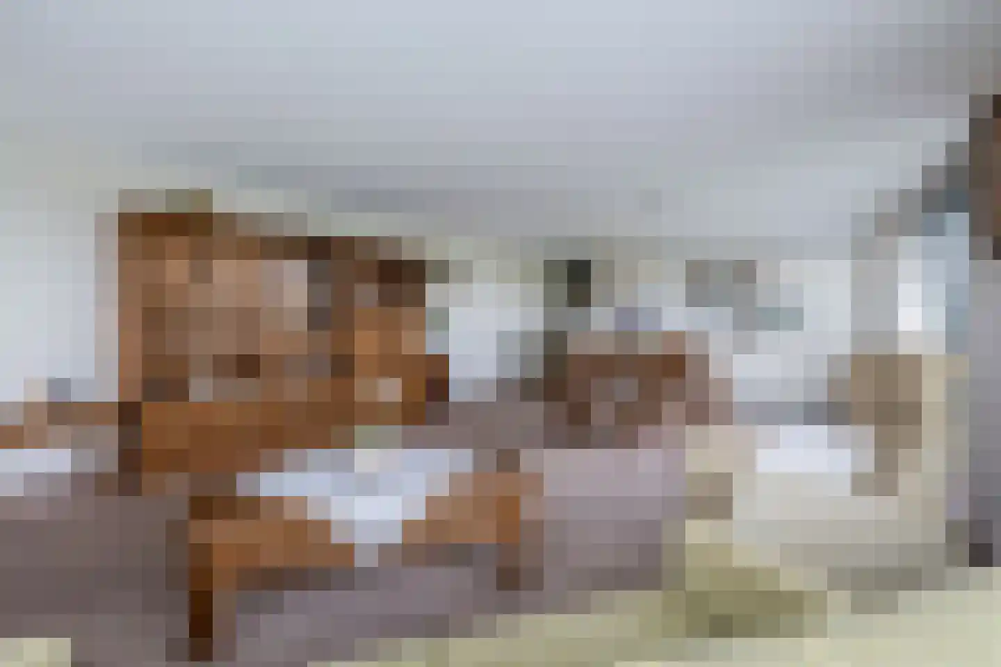 Brahmsstraat 240 Capelle aan den IJssel thumbnail 11