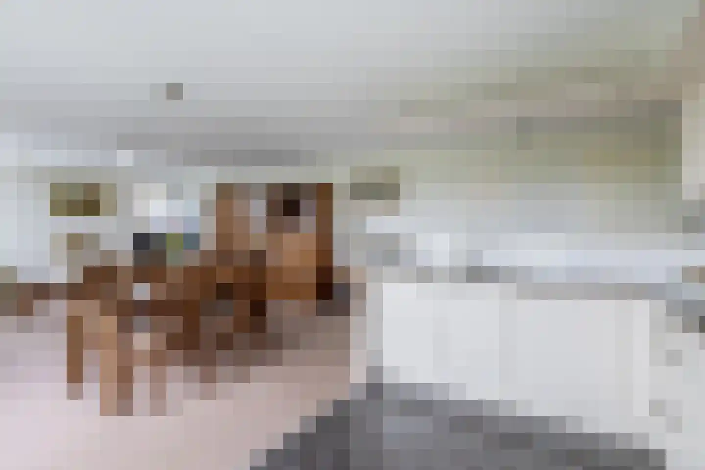 Brahmsstraat 240 Capelle aan den IJssel thumbnail 15
