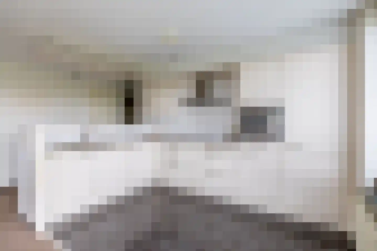 Brahmsstraat 240 Capelle aan den IJssel thumbnail 17